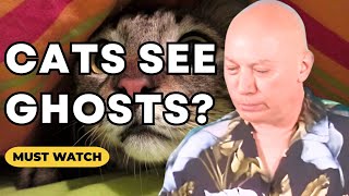 Bashar Reveals The Secret Power of CATS & Interdimensional Vision (Channeled by Darryl Anka) Profile