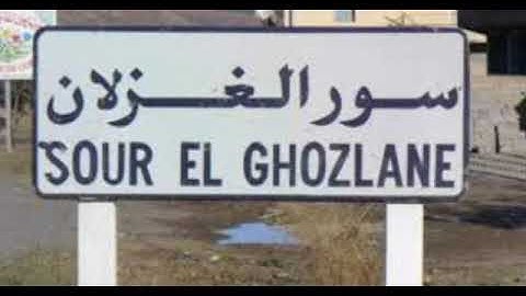 القارئ سعيد دباح.سورة نوح