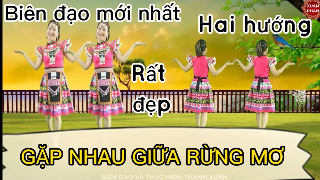 🌼GẶP NHAU GIỮA RỪNG MƠ 🌼// HAI HƯỚNG ( BIÊN ĐẠO MỚI NHẤT 2025  - RẤT ĐẸP)