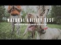 NAVHDA Natural Ability Test - An Inside Look