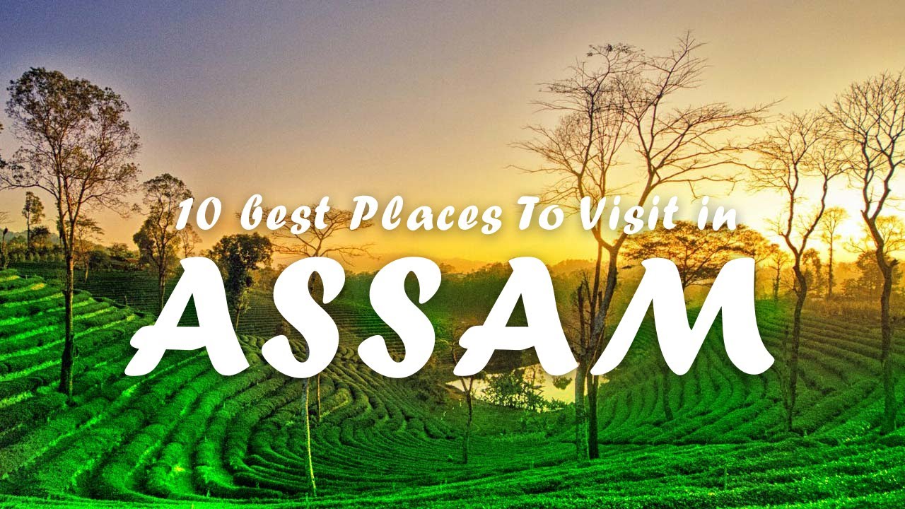 assam tourism quotes