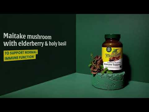 A Superfood Mushroom For Every Need A Superfood Mushroom For Every Need