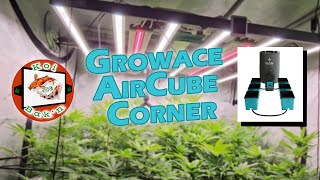 Growace AirCube Active Oxygen Ebb and Flow Grow System | Season 4 Ep 2