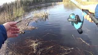 С живцом за щукой. Большая вода,новые места.