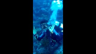 Menyelam Scuba Diving di Pulau Weh Indonesia (bag2) #Shorts