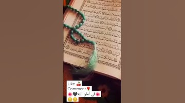 القاريء وديع اليمني_سورة مريم_ #قرآن كريم #القاريء وديع اليمني