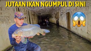 REJEKI,, NYESER IKAN DI DALAM GORONG GORONG DAPAT IKAN BESAR