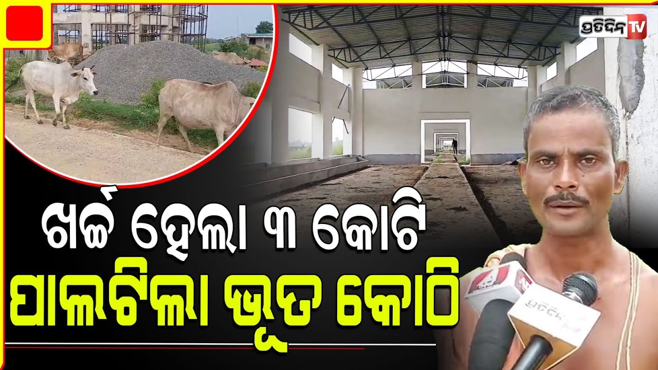 ସରକାରୀ ଗୋଶାଳା ଏବେ ଭୂତକୋଠି। Jajpur new cow shelters, and chicken firm in abandoned condition.