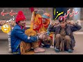 SAZA BEBE GHOSA New Funny Video 2026 By Tuti Gull Official SAZA BEBE GHOSA New Funny Video 2026 By Tuti Gull Official