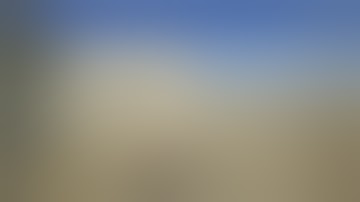 Intelligent Electronic Devices