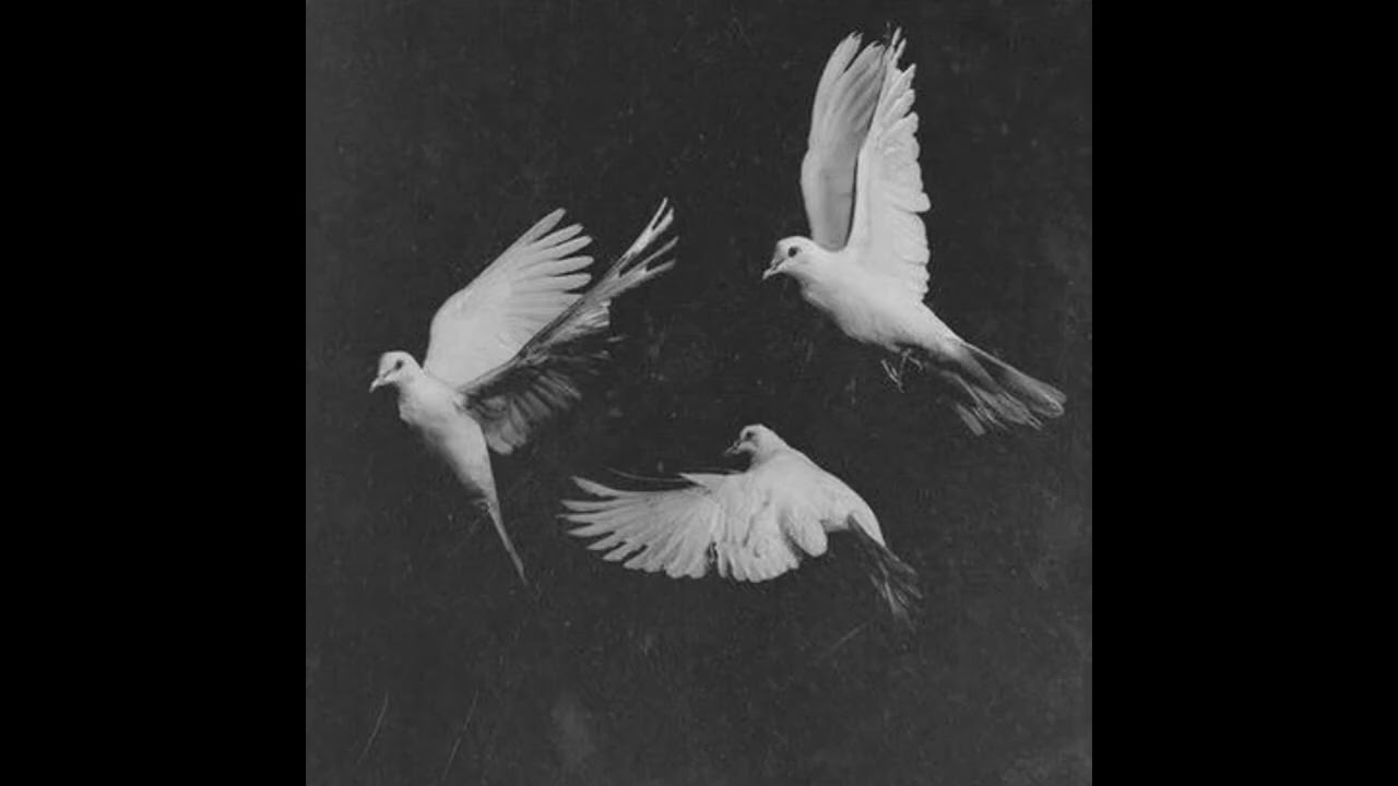 NYC TYPE BEAT - TIMES UP