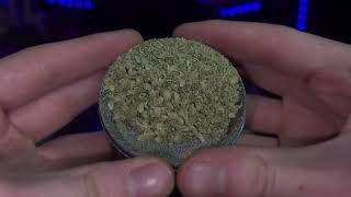 PURPLE GLUE FROM THE DELTA CONNECT