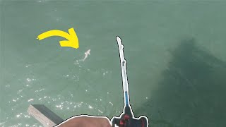 Catching A MASSIVE Shark Over A Pier In Myrtle Beach SC