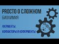 PROСТО О СЛОЖНОМ Кофакторы и коферменты, биохимия №8