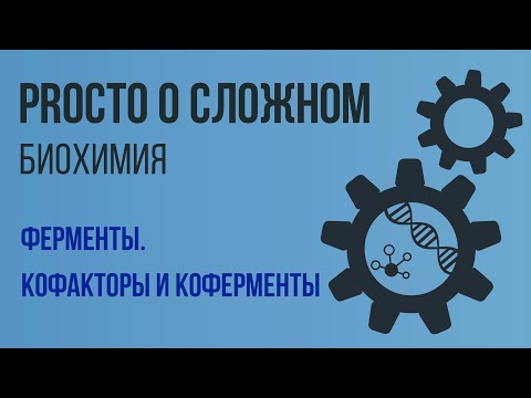 PROСТО О СЛОЖНОМ Кофакторы и коферменты, биохимия №8