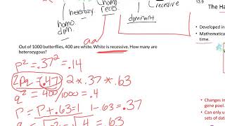 Ch 13 Notes Part 2