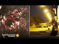 Coyotes in Urban Environments