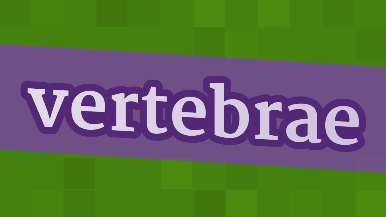 VERTEBRAE pronunciation • How to pronounce VERTEBRAE YouTube