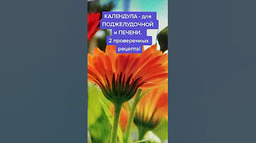 Для ПОДЖЕЛУДОЧНОЙ и ПЕЧЕНИ! Два полезных рецепта с Календулой: лечение и профилактика!