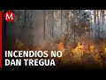 Registran 19 incendios forestales activos en Chiapas