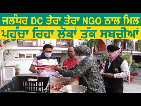 Jalandhar DC Varinder Sharma तेरा तेरा NGO के साथ मिल कर पहुंचा रहे लोगों तक सब्ज़ियाँ