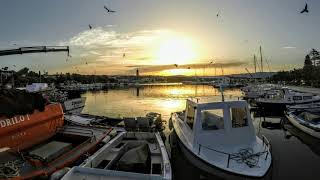Avoure - Ray (HD)