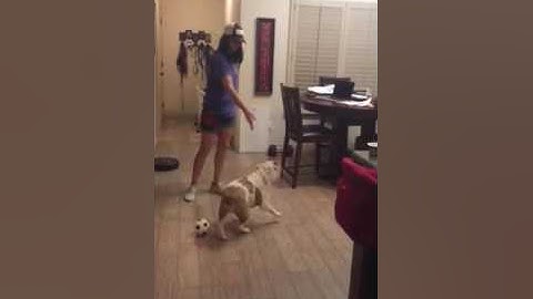 Tasha Merchant Lesson 6 Ex 6 add a cue finished behavior