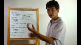 18 - Protists Part 1