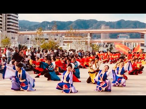 神戸学生よさこいチーム湊 「朱巽」 神戸アライブ2017〜メリケンパレード9.24〜