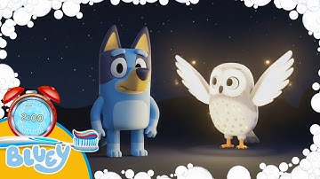 New Bluey and the magic owl  2 Minute Toothbrush timer with Music