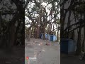 Raslpur