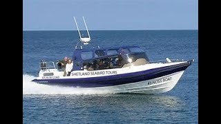 Seabird tour Lerwick to Noss August 2022