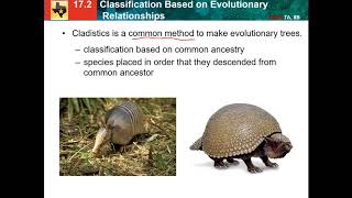 17.2: classification based on evolutionary relationships
