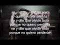 silvestre dangond - el cantinero con letra