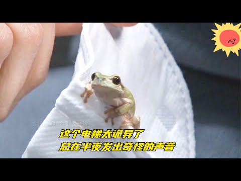 这个电梯太诡异了，总在半夜发出奇怪的声音，难道是阿飘吗？【野兽beast】