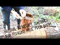 Natural Bushcraft Container - Bark Basket ~~NO TALKING~~