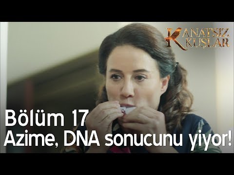 Azime DNA sonucunu yiyor - Kanatsız Kuşlar 17. Bölüm