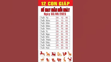 Con số may mắn ngày 03/09/2023 cho 12 con giáp #consotailoc #tailoc #xuhuong