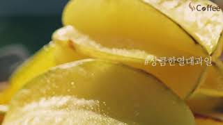 학생 포트폴리오 과제 영상 카페홍보영상