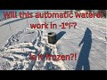 Is the Bar-Bar-A Automatic Waterer frozen??