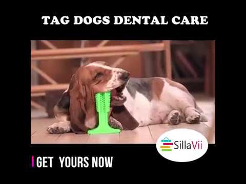 MAGIC DOG TOOTH