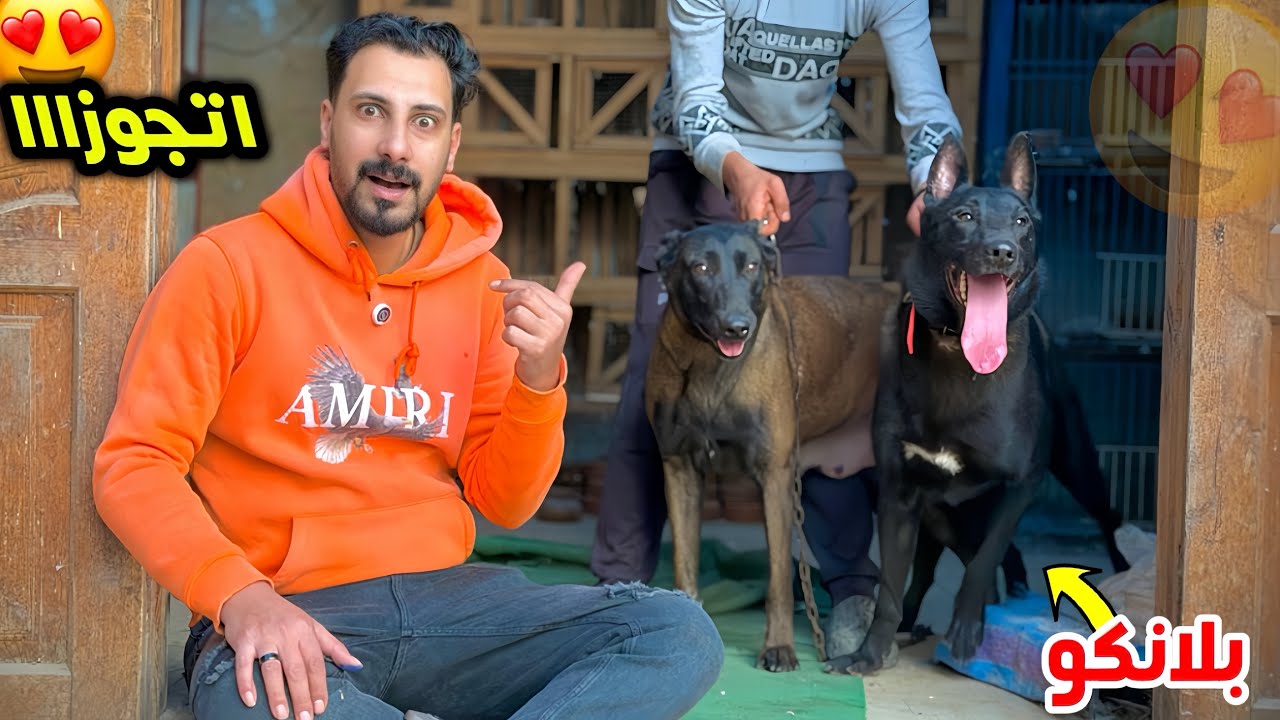 البنوته الي انقظتها جوزتها من بلانكو😍ومضوني علي وصل امانه !!