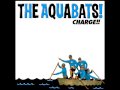 The Aquabats - High-Five City