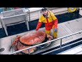 15 Most Dangerous Crustaceans In The World