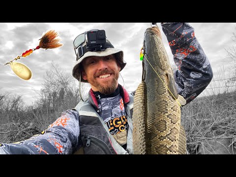 The BEST LURE for Early Season Snakehead; Spring Snakehead Fishing