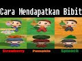 Bibit Langkah Story Of Season