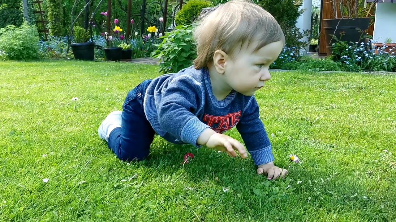 Działki rekreacyjne