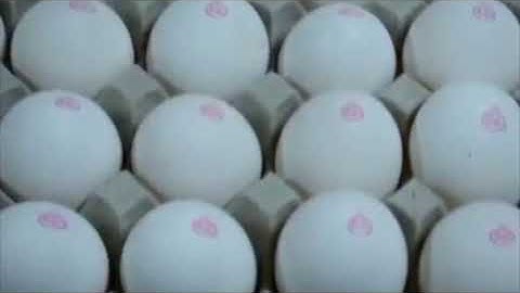 Thermal Inkjet Egg Coding Machine
