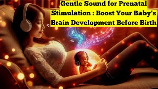 Best Gentle Sound for Prenatal Stimulation : Enhance Your Baby's Brain Development Before Birth 173