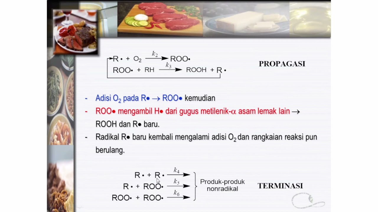 Lipid Bagian 01